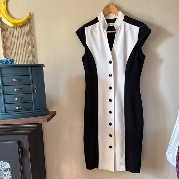 🖤🐼🐑🐧Elegant Black and White Button-Down Dress - Picture 1 of 5